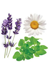 Close-up of Serenity ingredients including Lavender and Cedarwood