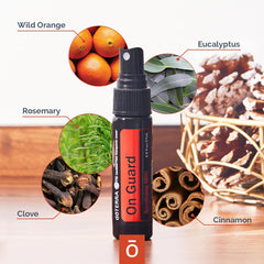 DoTERRA On Guard Sanitizing Mist being used while traveling