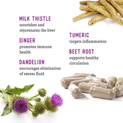 Dandelion root and beet root components in the liver health blend