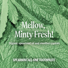 Three tubes of Dr. Bronner’s All-One Toothpaste Spearmint in a pack