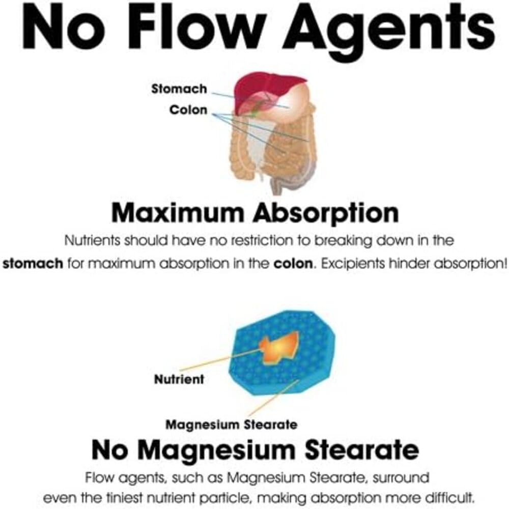 Illustration of NAC benefits for respiratory health