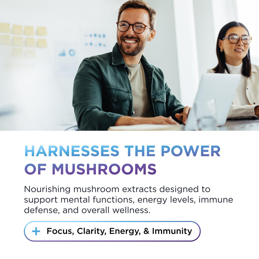 Reishi mushroom extract capsule in the blend