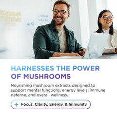 Reishi mushroom extract capsule in the blend