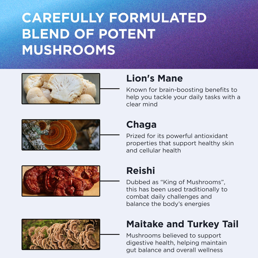 Maitake mushroom extract capsule in the blend