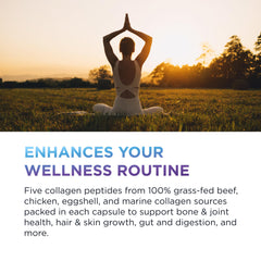 Close-up of hydrolyzed collagen pills