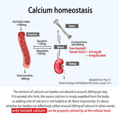 Ingredient list: Calcium gluconate, Magnesium carbonate, Apple cider vinegar