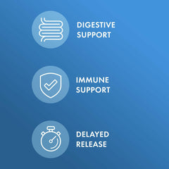 Graphic highlighting 10 probiotic strains included