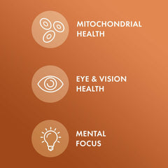 Graphic illustrating the three curcuminoids: curcumin, demethoxycurcumin, bisdemethoxycurcumin