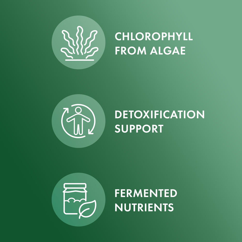 Graphic illustrating immune and organ health support