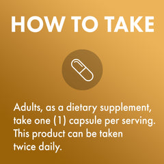 Ginger root and Benegut supplement concept