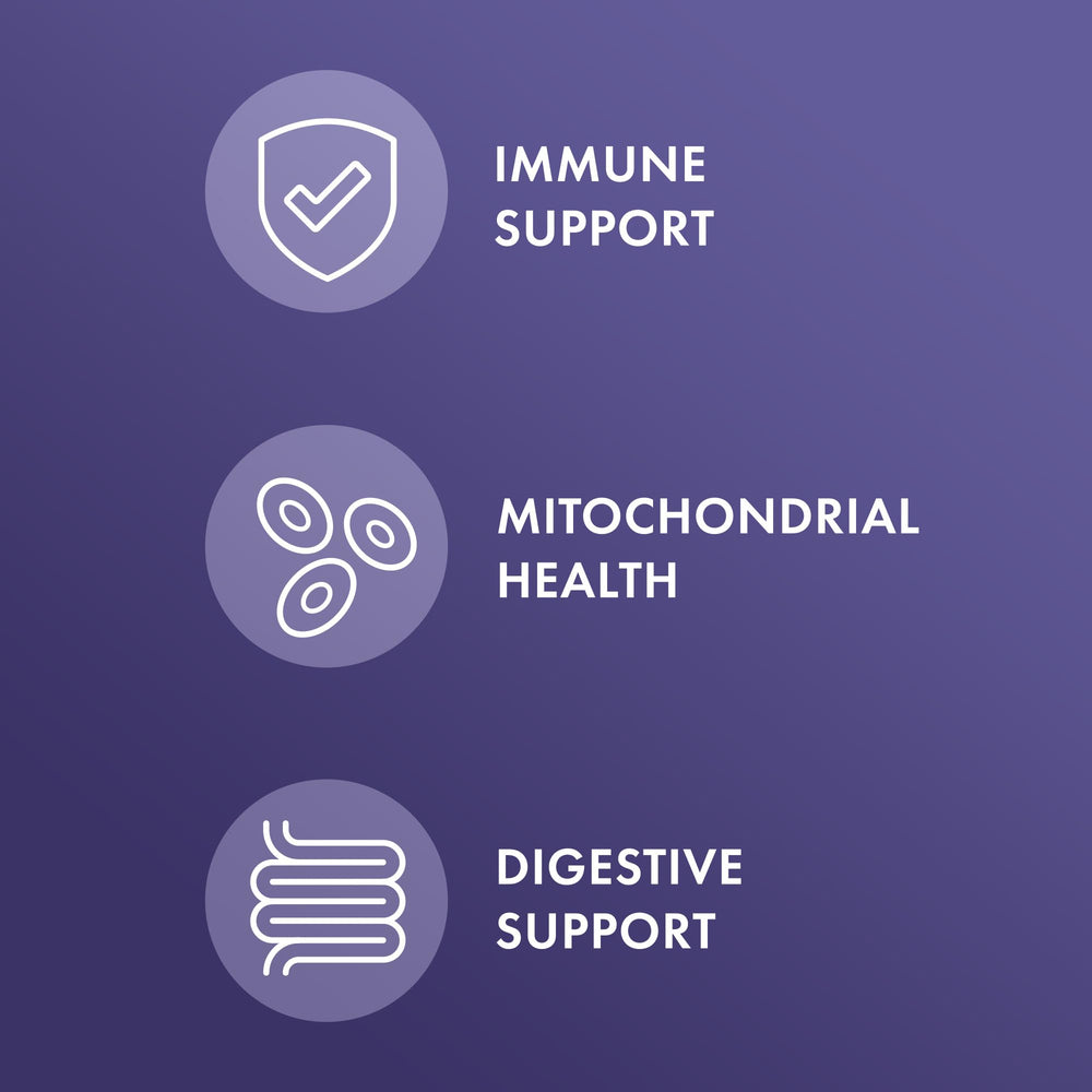 Digestive enzyme blend for digestion and immune support