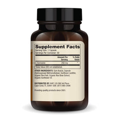 Close-up of a 250 mg liposomal carnosine capsule