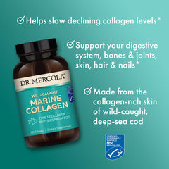 North Atlantic sourcing for marine collagen