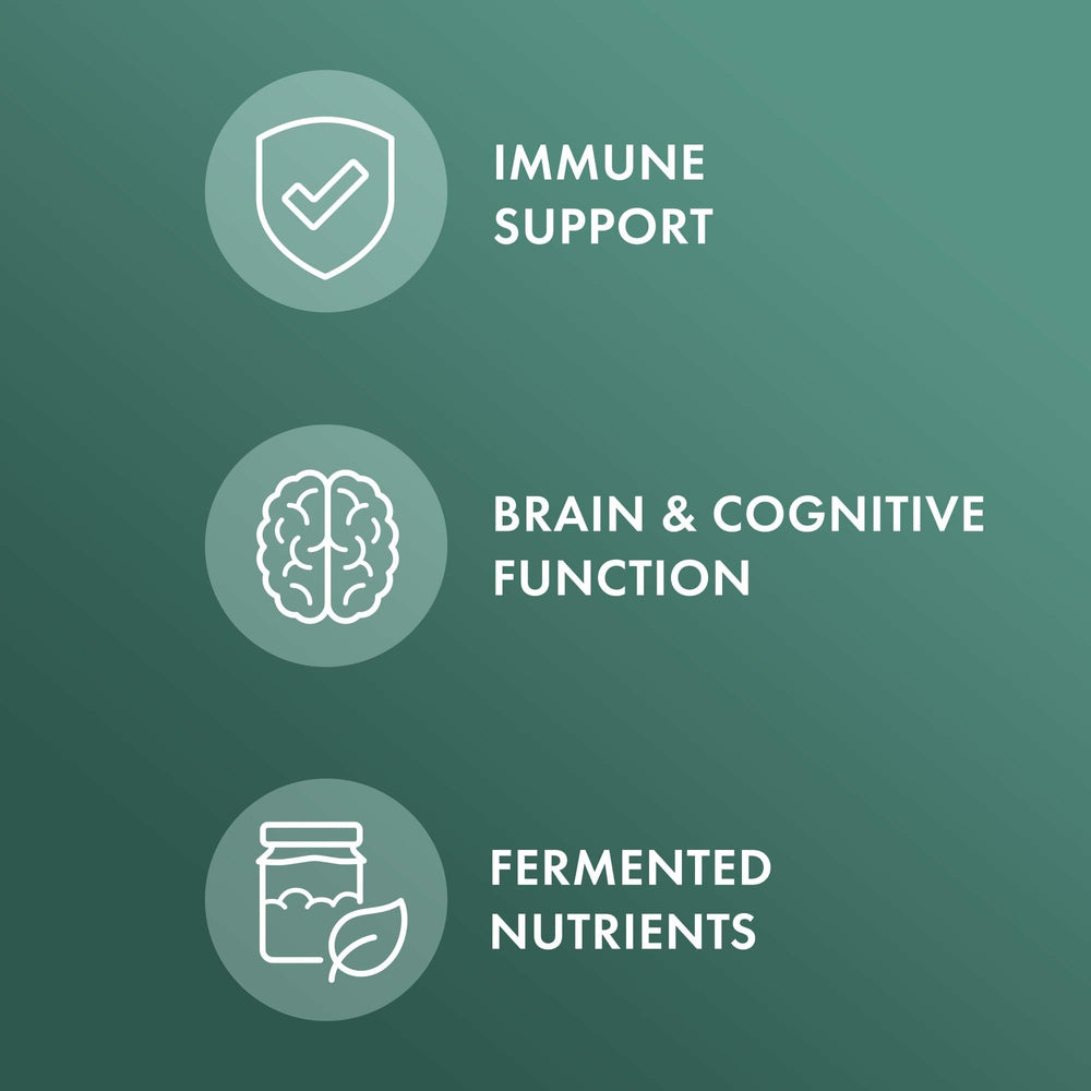 Fermented mushrooms and oats in the Solid-State Fermentation process