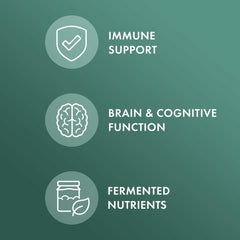 Fermented mushrooms and oats in the Solid-State Fermentation process