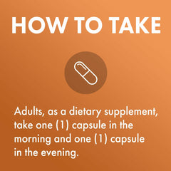 Graphic illustration of high-bioavailability curcuminoids