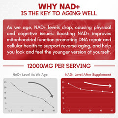 Close-up of 12,000mg NAD+ formula ingredients
