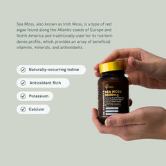 Bee Propolis and Royal Jelly components shown