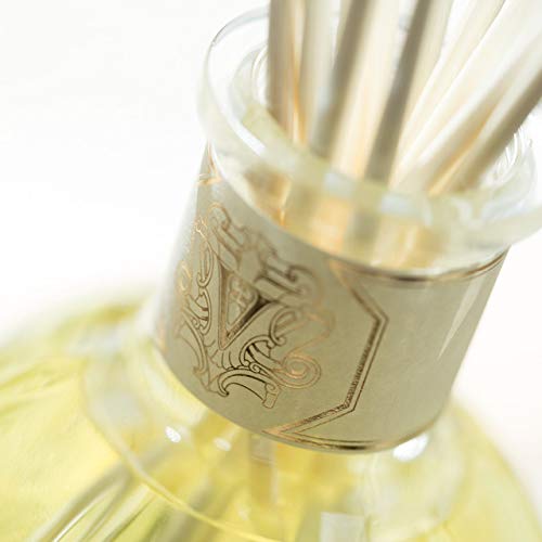 Dr. Vranjes Ginger and Lime in a room setting creates ambiance.
