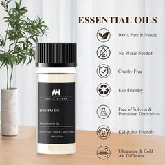 Top notes of Dream On: White Tea, Aloe Vera, Ginger