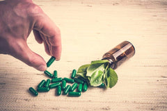 Probiotics and prebiotics for gut-brain health