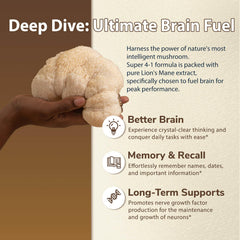 DRFOSTER Lions Mane capsules held in hand