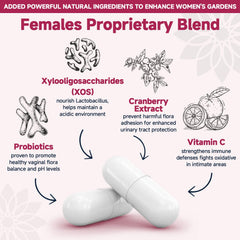 Illustration of prebiotic XOS, cranberry and vitamin C ingredients