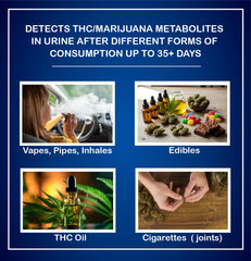USA-made lab-grade THC testing kit