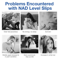 NAD Supplement ingredients panel