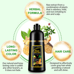 Dvoevivh gift-pack featuring 3-in-1 hair color solution for gray hair