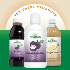 GMP-certified facility and quality certifications for Dynamic Health