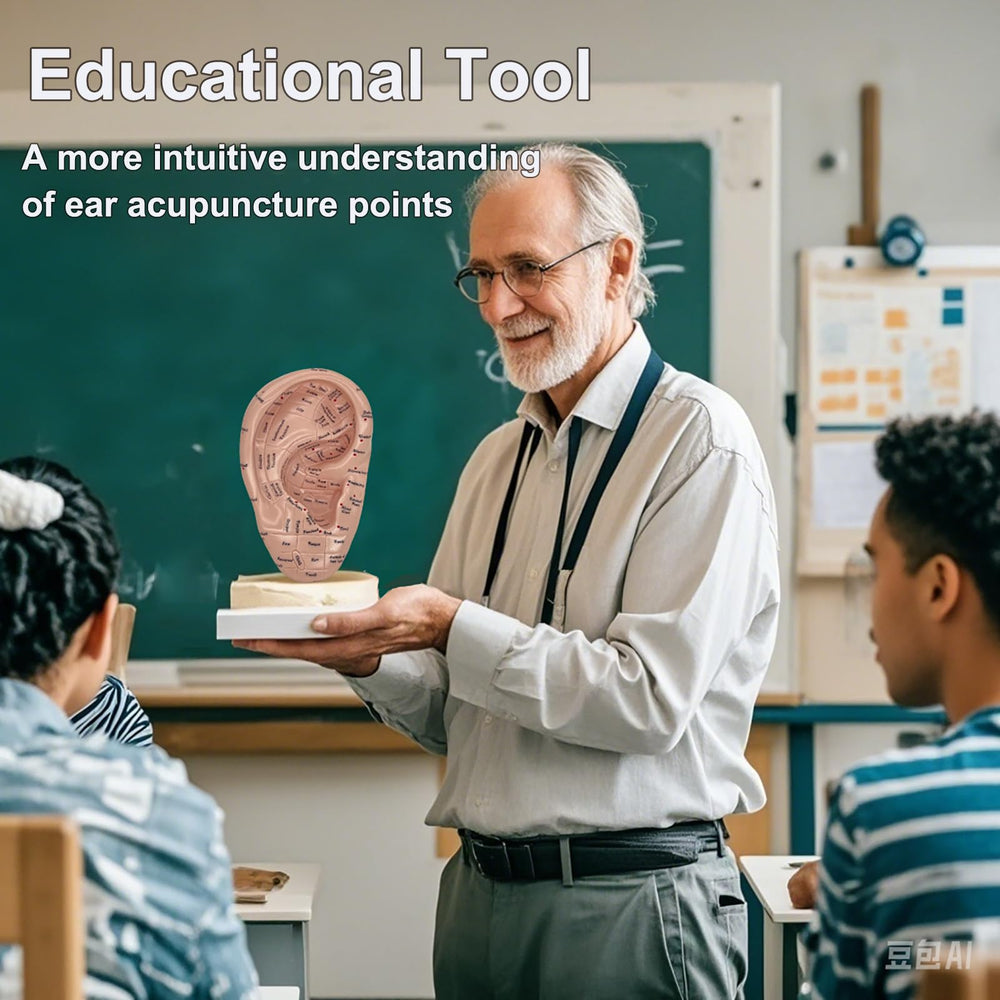 Hands-on learning with ear point model for auricular points