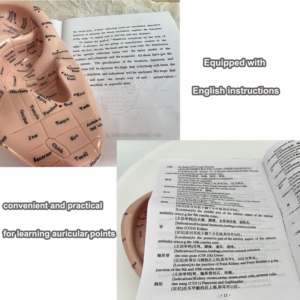 Demonstration of acupuncture points on ear model