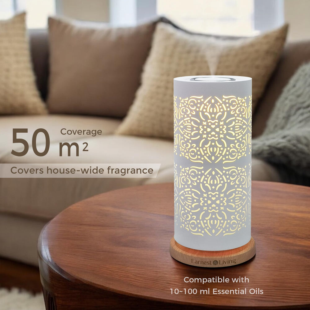 Gift-ready Earnest Living waterless diffuser packaging