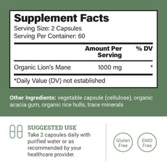 Close-up of Lions Mane mushroom extract