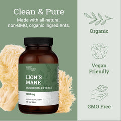 Organic Lions Mane capsules bottle on white background