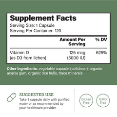 Bottle of Earth Harmony Naturals Vegan Vitamin D3 5000 IU 120 capsules