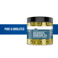 Lifestyle shot of berberine bottle with natural greens