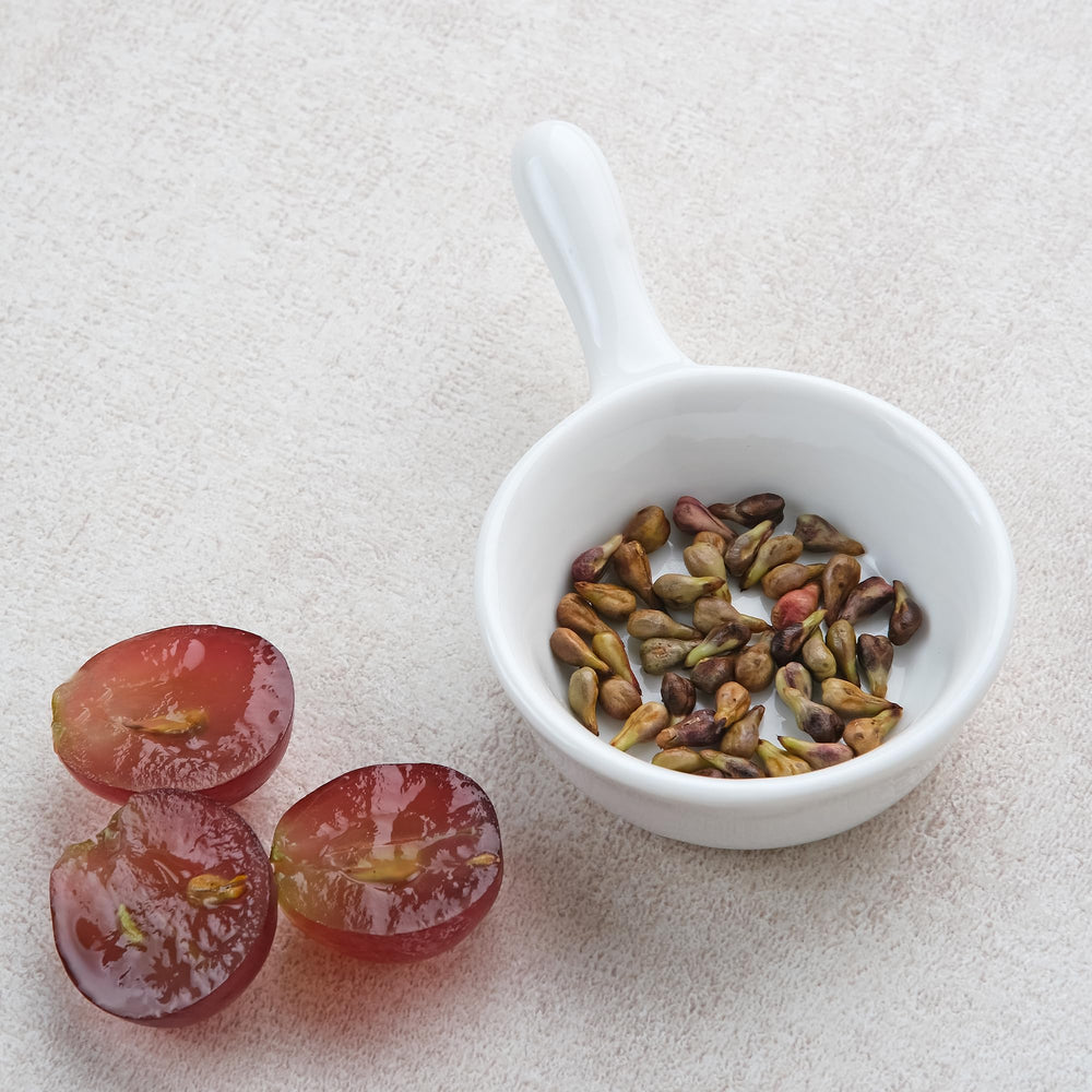 Full bottle of Earthborn Elements Grape Seed Extract on a neutral background
