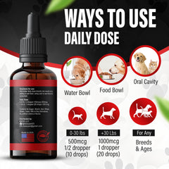 Easy-to-use liquid B12 for pets