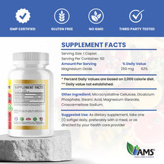 Easy-to-swallow magnesium caplets