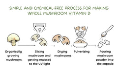 Two-ingredient formula: UV-exposed organic mushroom powder and vegan capsule