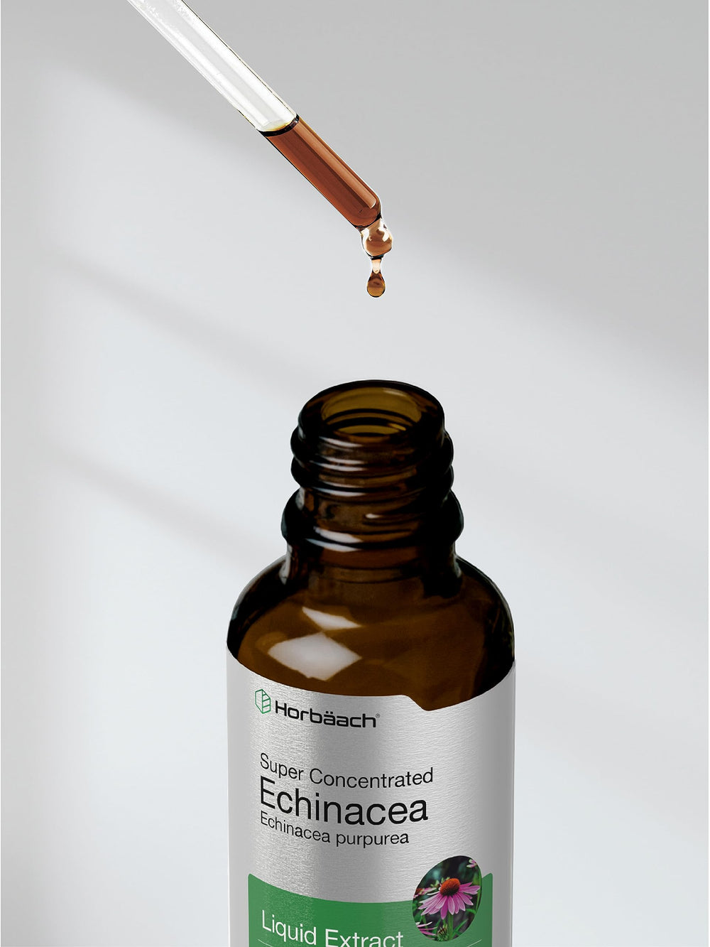 Usage instructions for Horbaach Echinacea Drops tincture