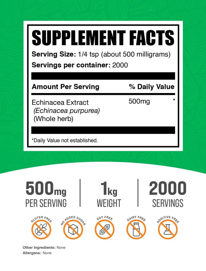 Close-up of Echinacea Extract Powder texture 500mg serving