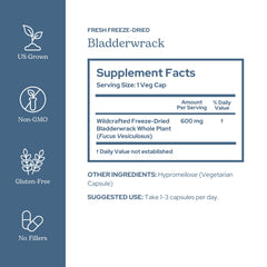 Wildcrafted Pacific Northwest bladderwrack hand-harvested from the coast