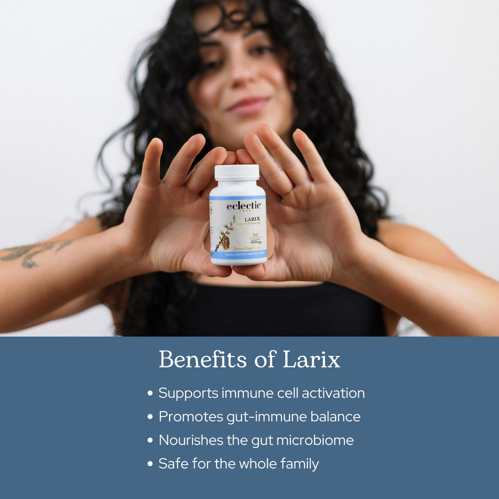 Close-up of 400 mg Larix capsules inside bottle