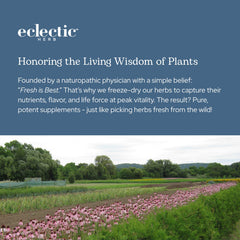 Lifestyle image representing immune support with Larix capsules