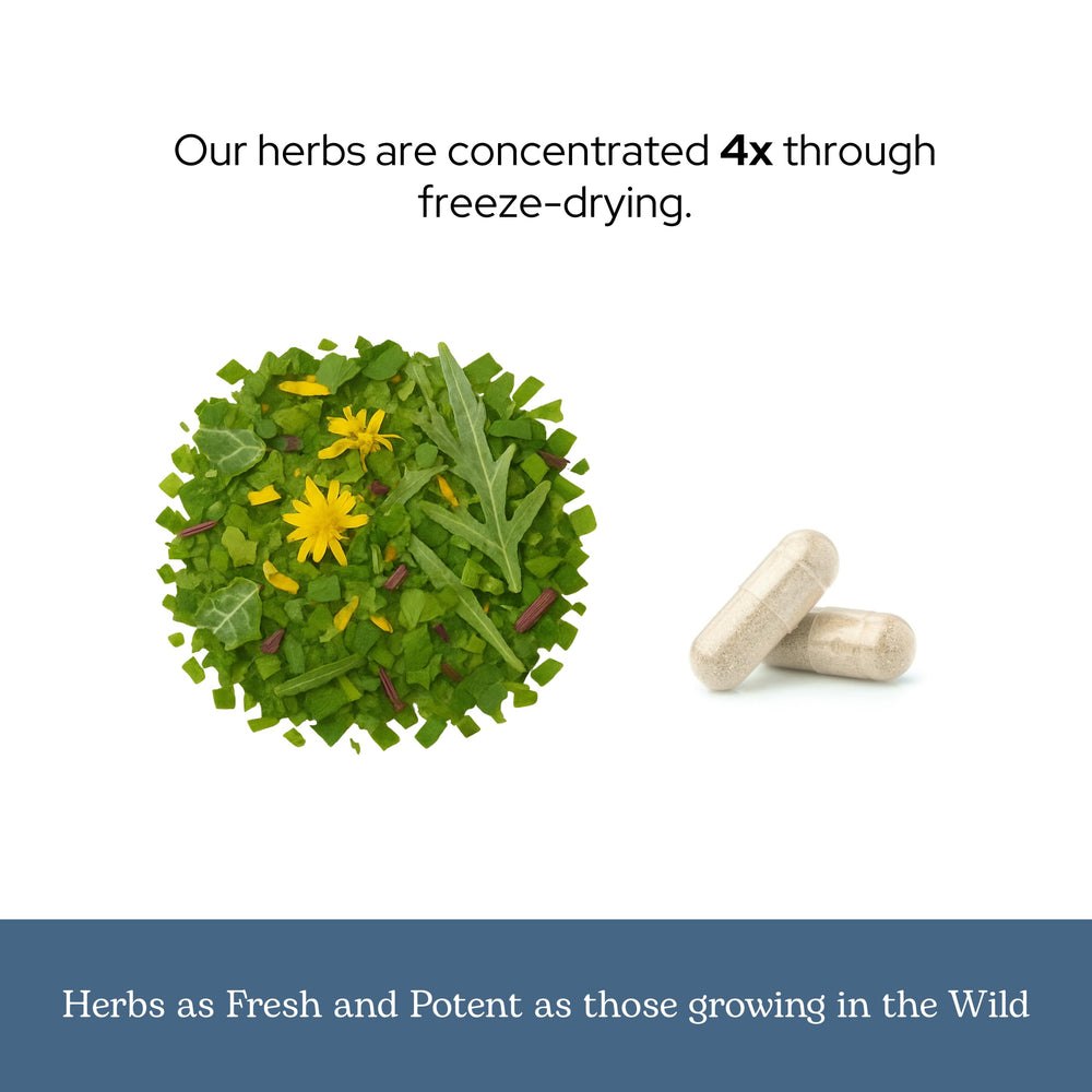 Herbal blend featuring Dandelion, Artichoke, and Beet Root