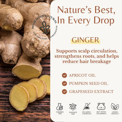 EDENIKA BOTANICALS pumpkin seed ingredient detail emphasizes strength and follicles support.
