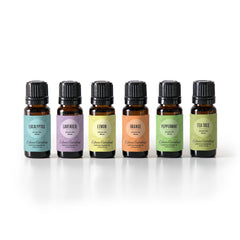 Eucalyptus Around The World essential oil bottle 10 ml